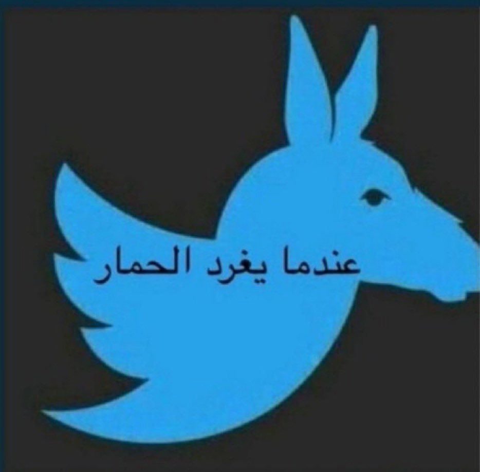 Sami🇸🇾 tweet media