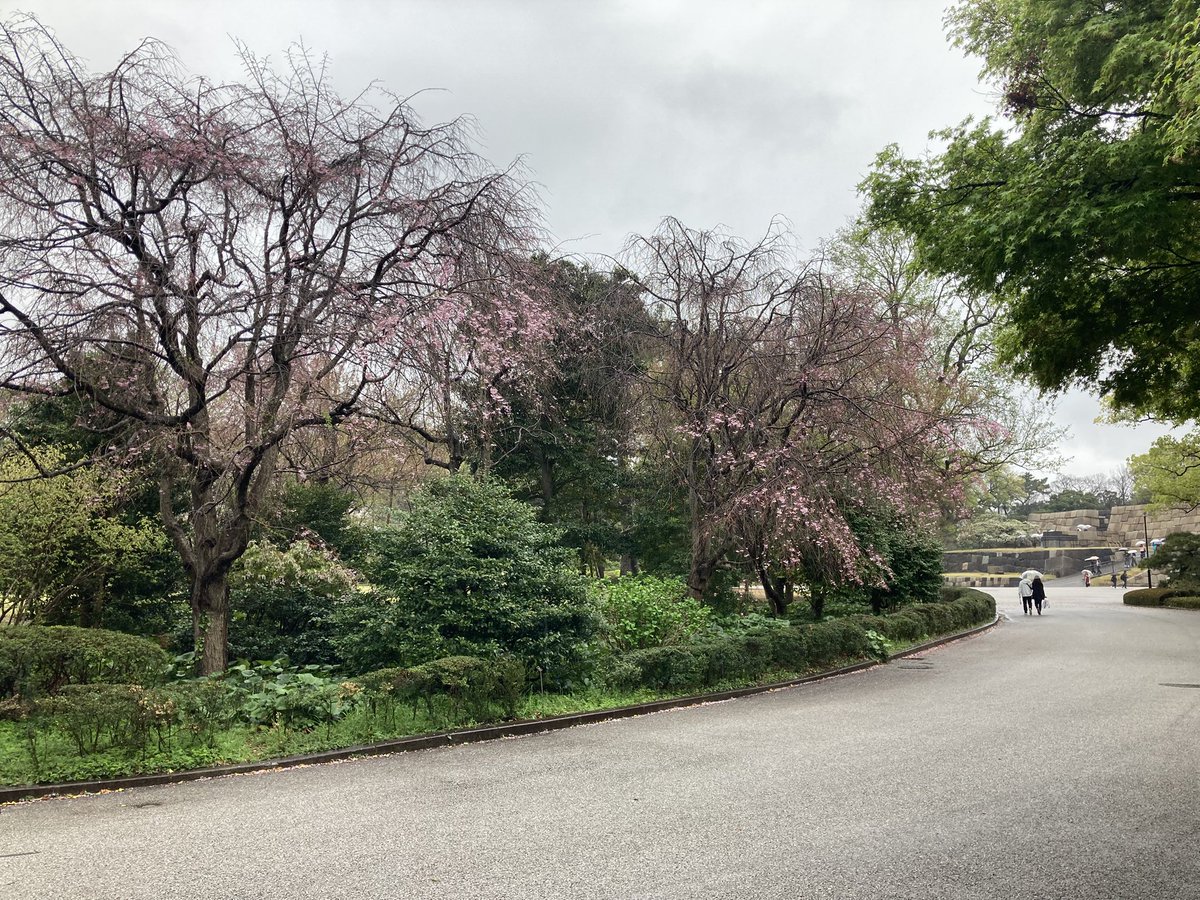 ma_kun.nakamura tweet media