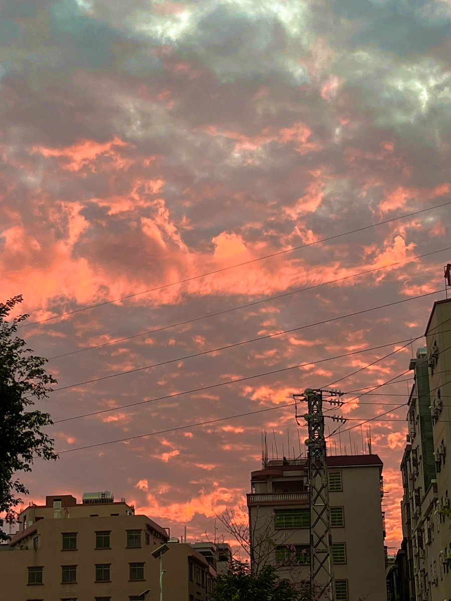 小凯有点忙💦 tweet media