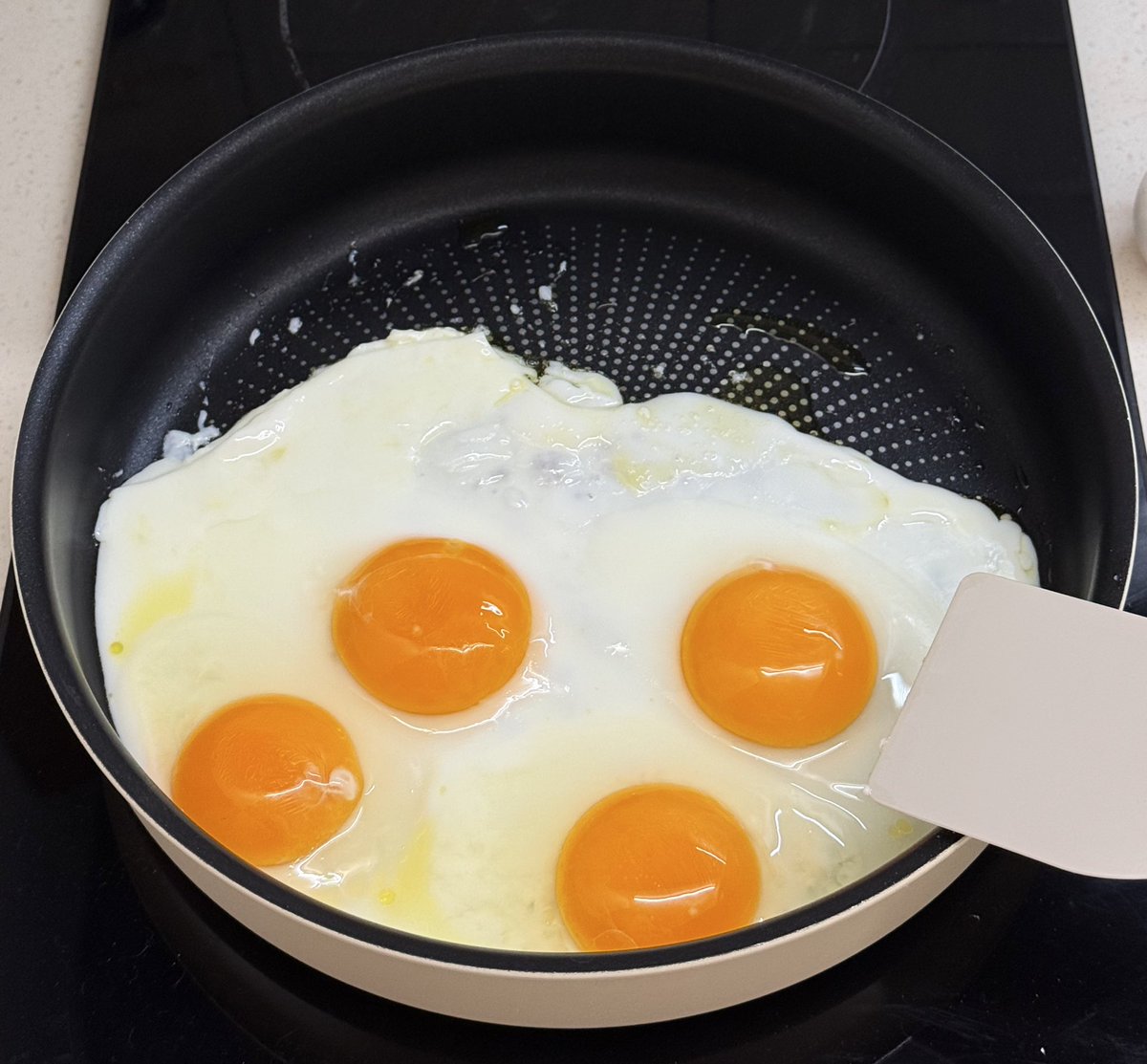 dumplin9 tweet media