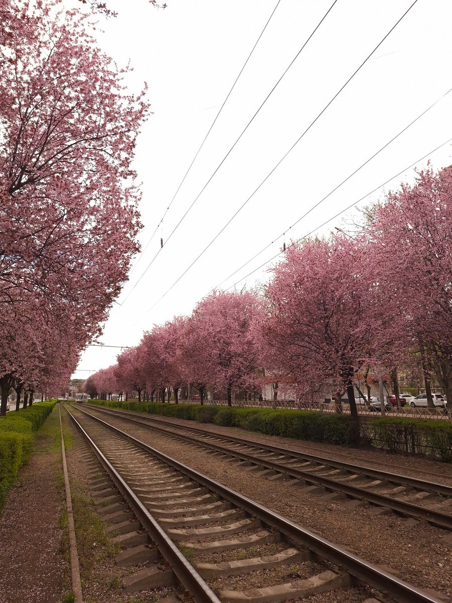 утренняя звезда💫 tweet media