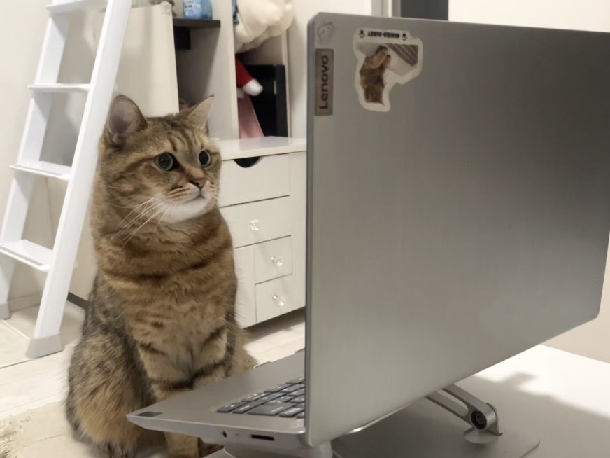 みにら日記-MiniraDiary- tweet media