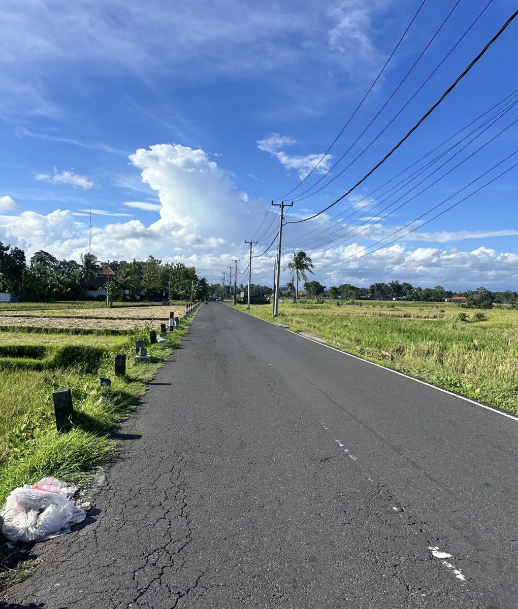 Noorie lova tweet media