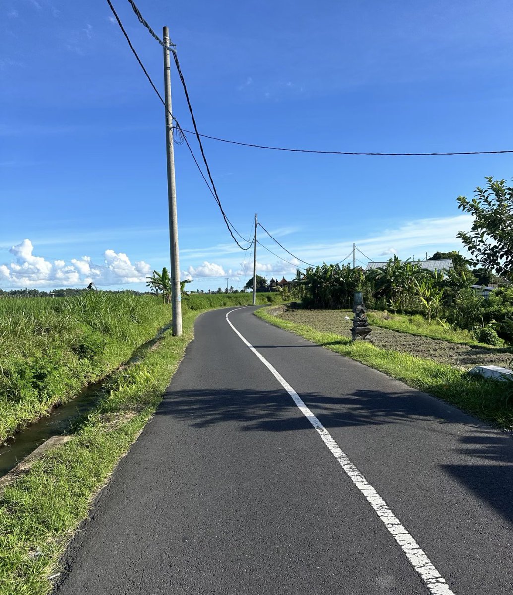 Noorie lova tweet media