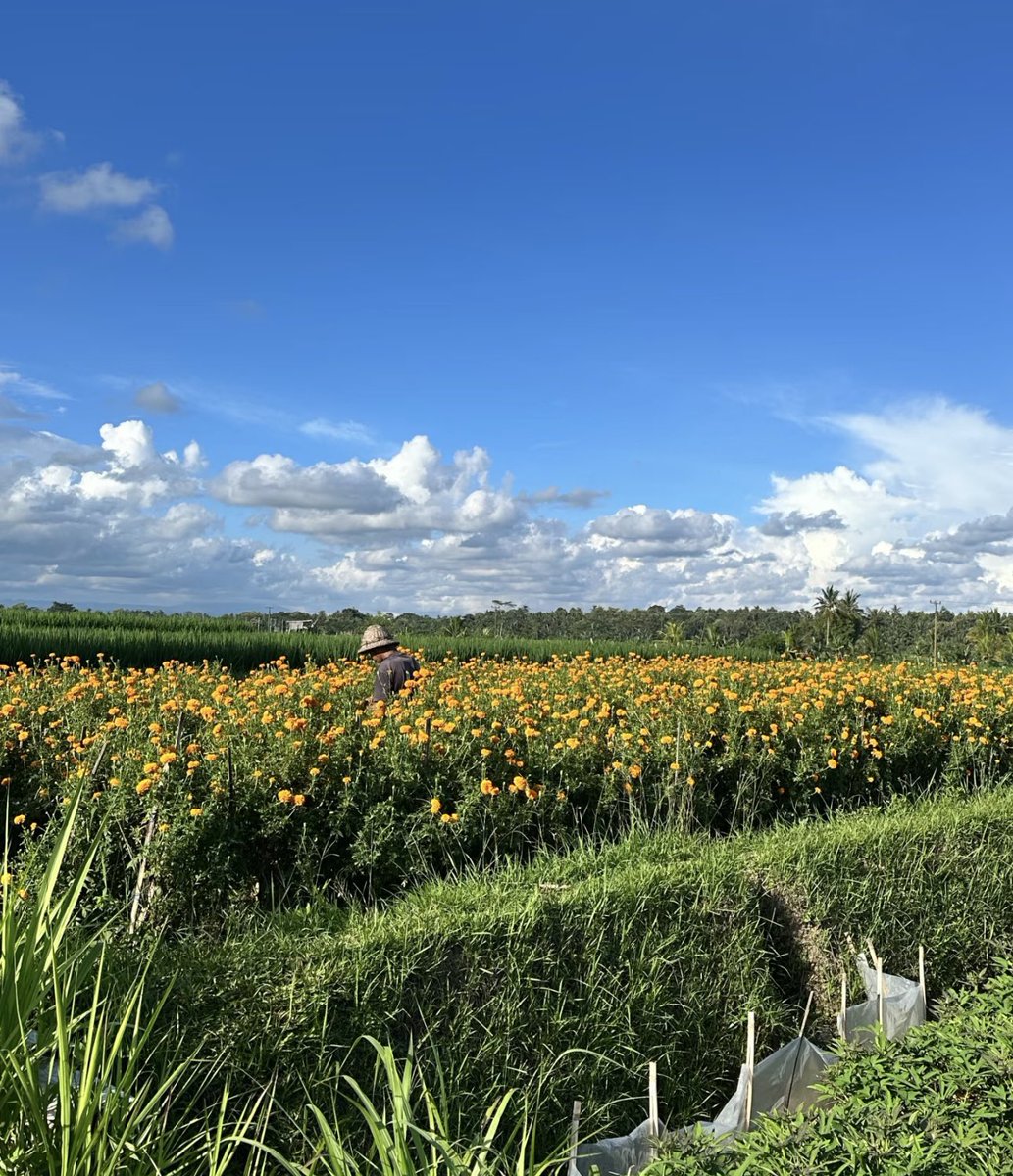 Noorie lova tweet media