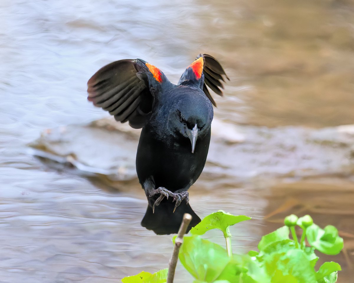 Ruben Giron tweet media