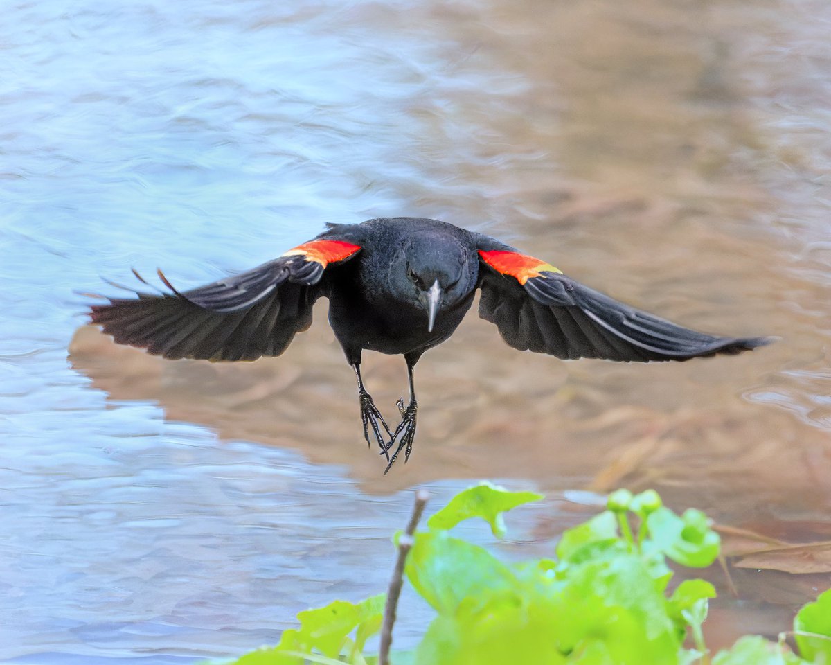 Ruben Giron tweet media