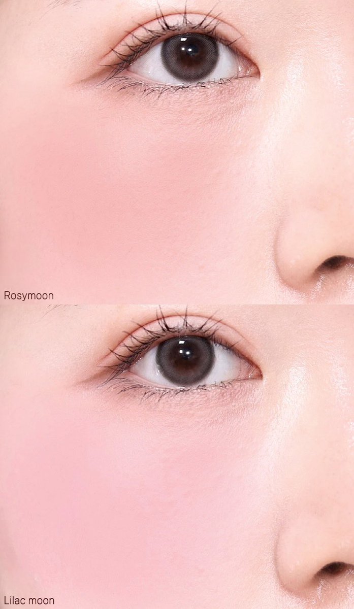 코덕쪼코 tweet media