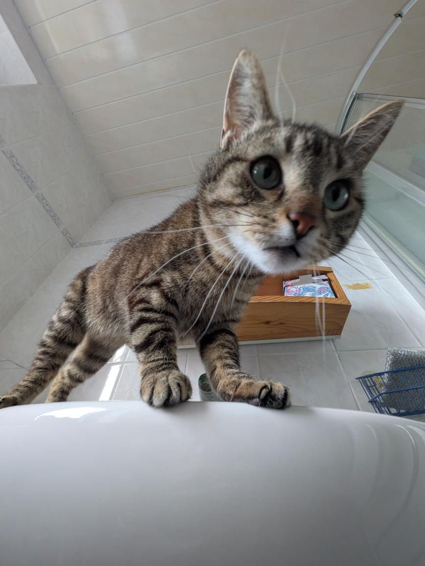 Bertrand tweet media