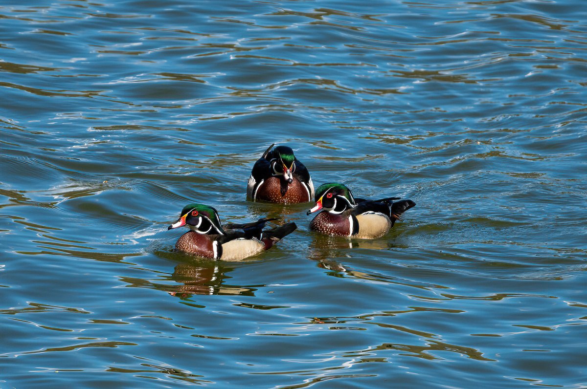 The Only James Magelk tweet media