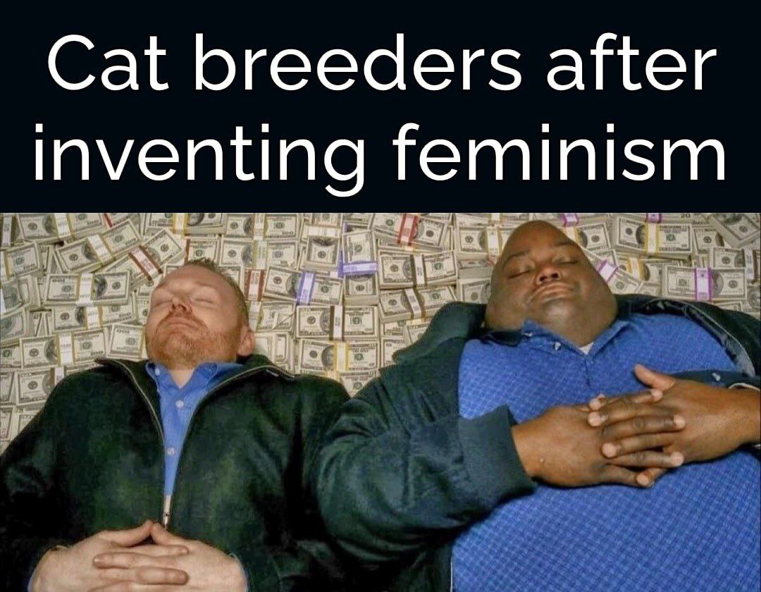 Gross Memes tweet media