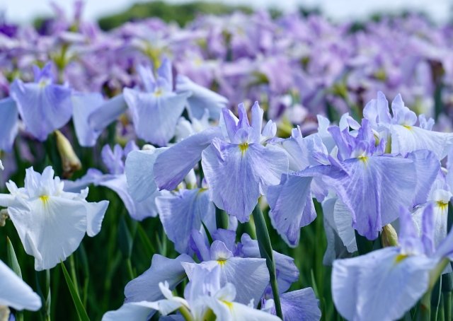 唐司 誠＠行政書士@さいたま市 tweet media