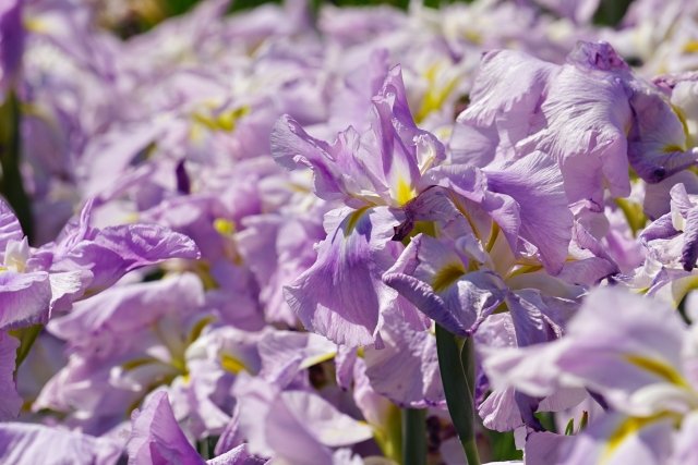 唐司 誠＠行政書士@さいたま市 tweet media