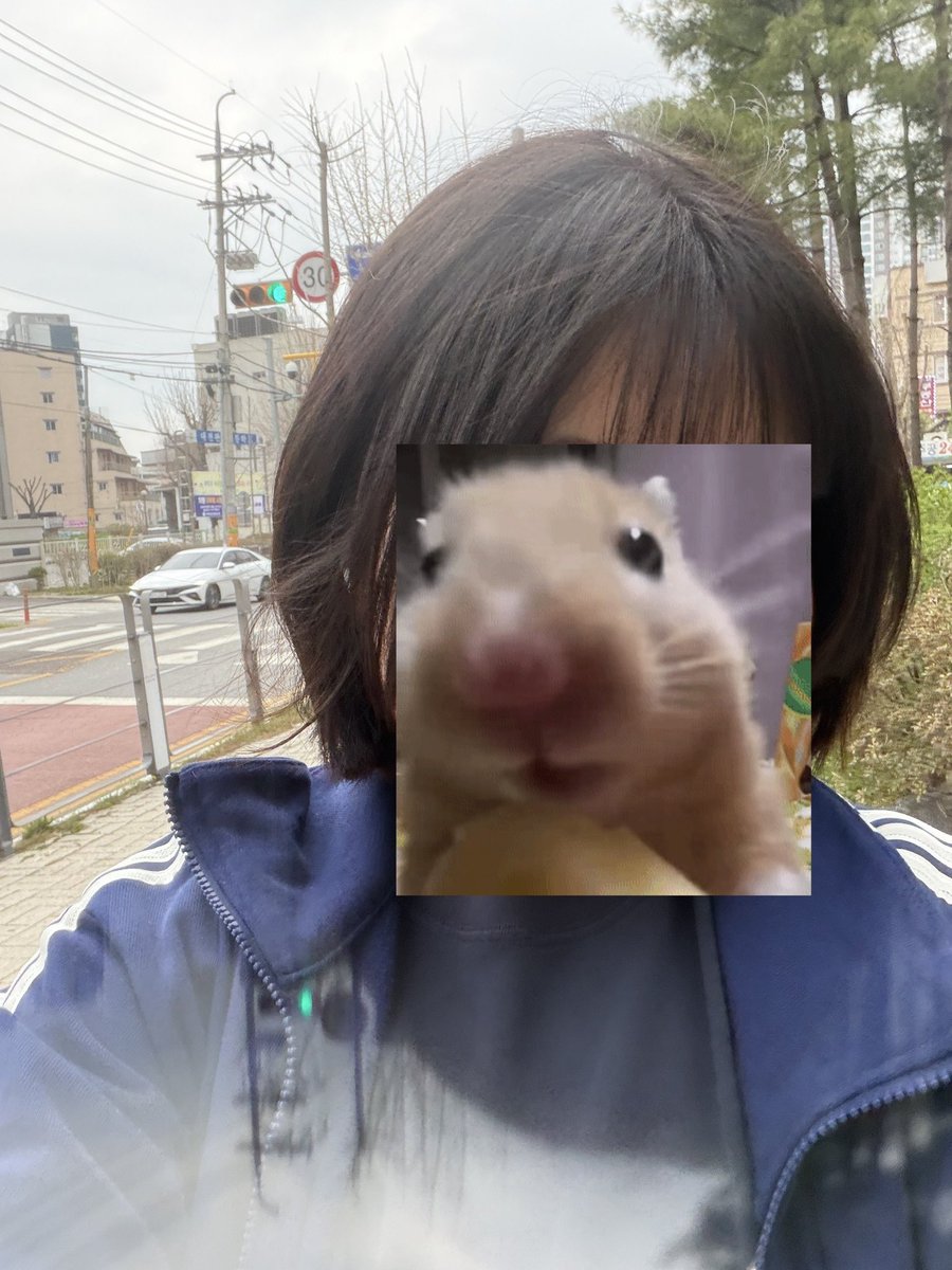 적혈구 tweet media