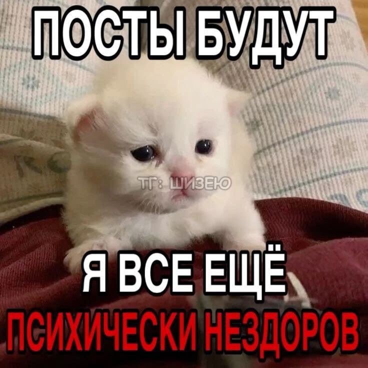 m1tzhu's tweet photo. я наконец освободилась и пришла хуярить тэги

아티스트의 안전을 지켜주세요
#BELIFT_Do_Better https://t.co/qlOXUkkjiz