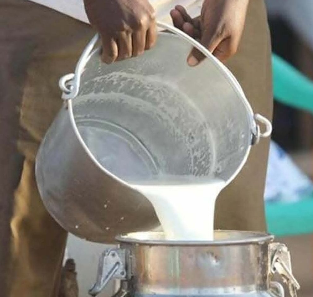 Ali Mughal tweet media