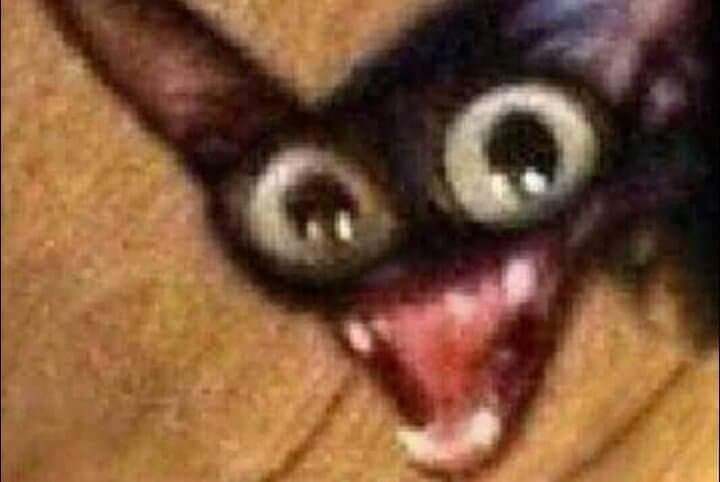 Lav - ℜ𝔲𝔰𝔥'𝔰 𝔅𝔞𝔟𝑦𝔤𝔦𝔯𝔩 tweet media