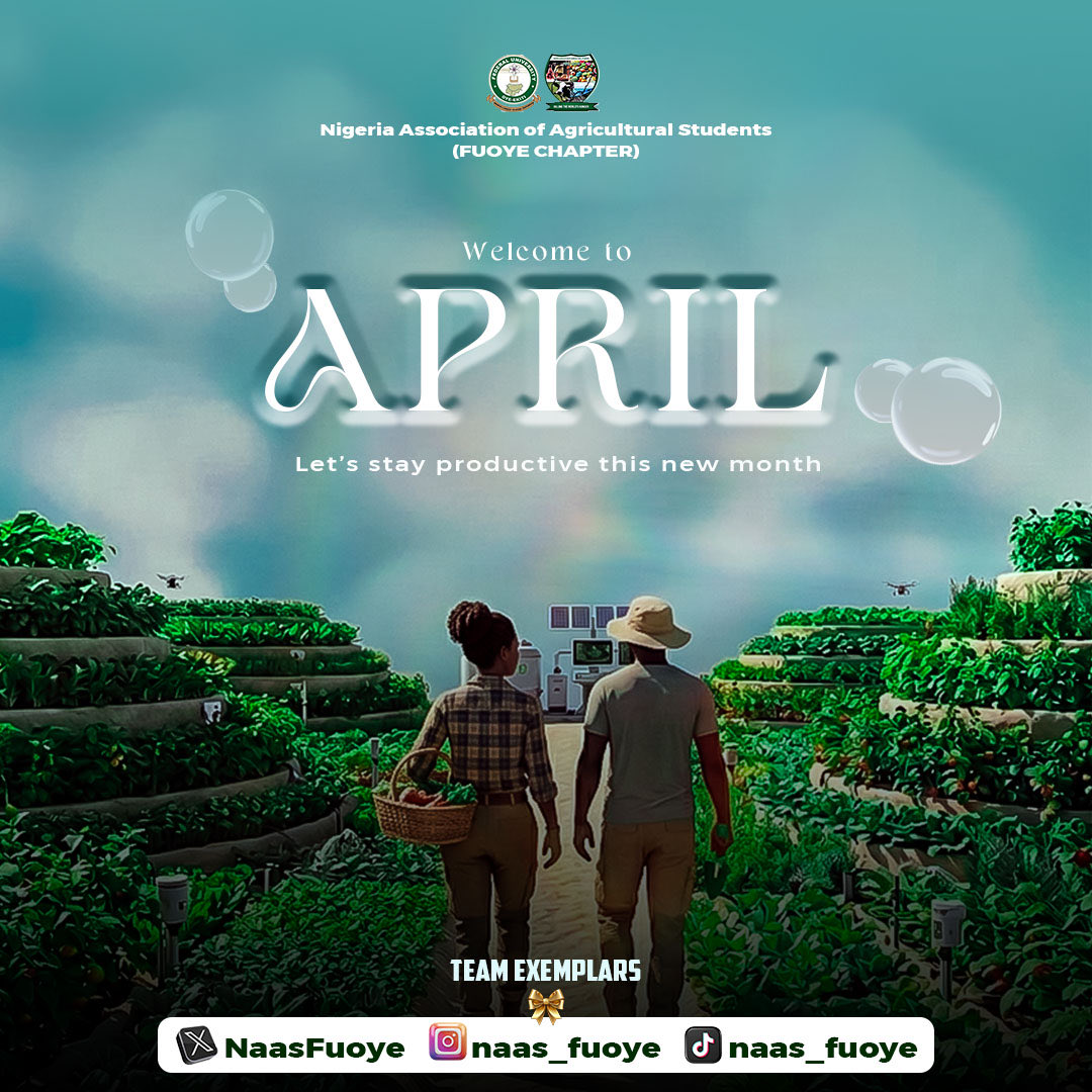 NAAS_FUOYE tweet media