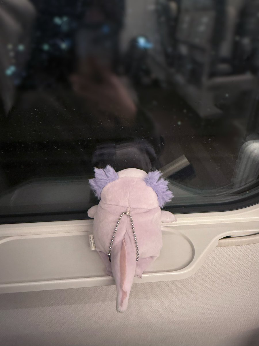 たのしいね tweet media