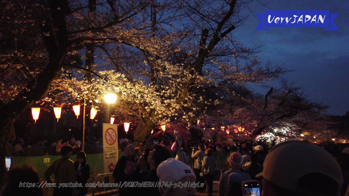 VeryJAPAN tweet media