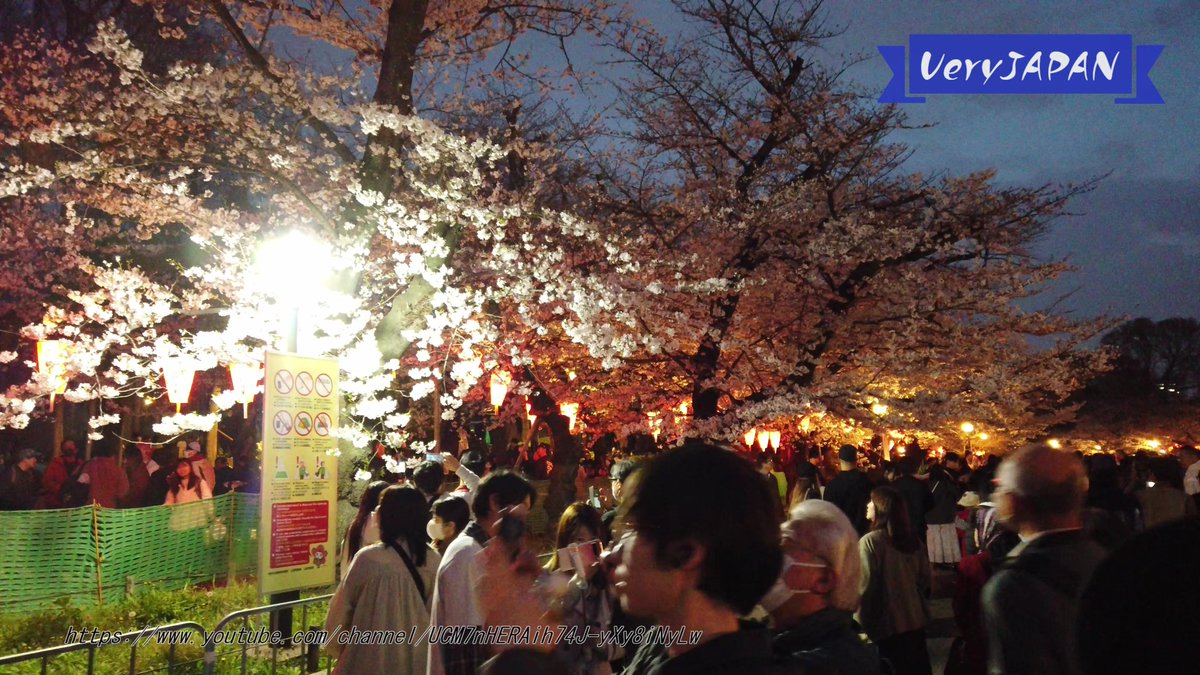 VeryJAPAN tweet media