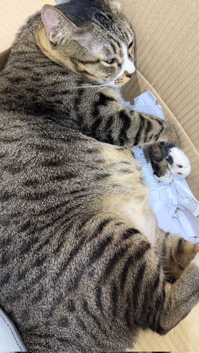 R-JING OFFICIAL TH tweet media