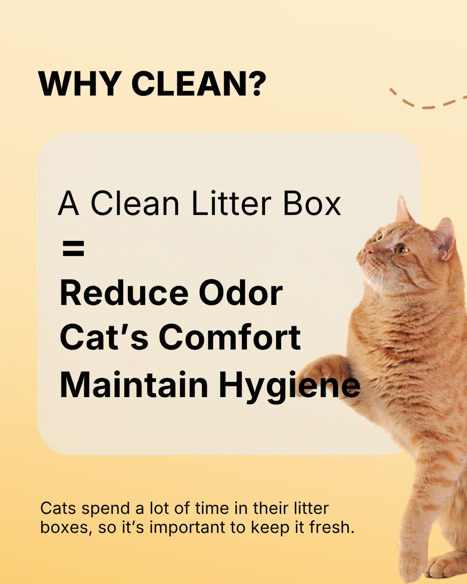 AutoScooper by PetPivot tweet media