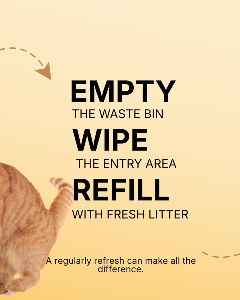 AutoScooper by PetPivot tweet media