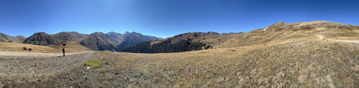 Billy Minter tweet media