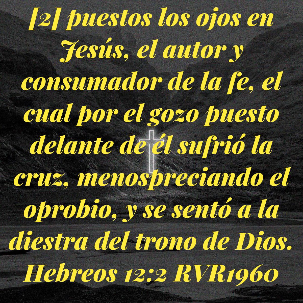 𝓕𝓻𝓪𝓷𝓬𝓲𝓼𝓬𝓸 𝓜𝓲𝓴𝓵𝔂 𝓦𝓲𝓰𝓱. 🇪🇨 tweet media