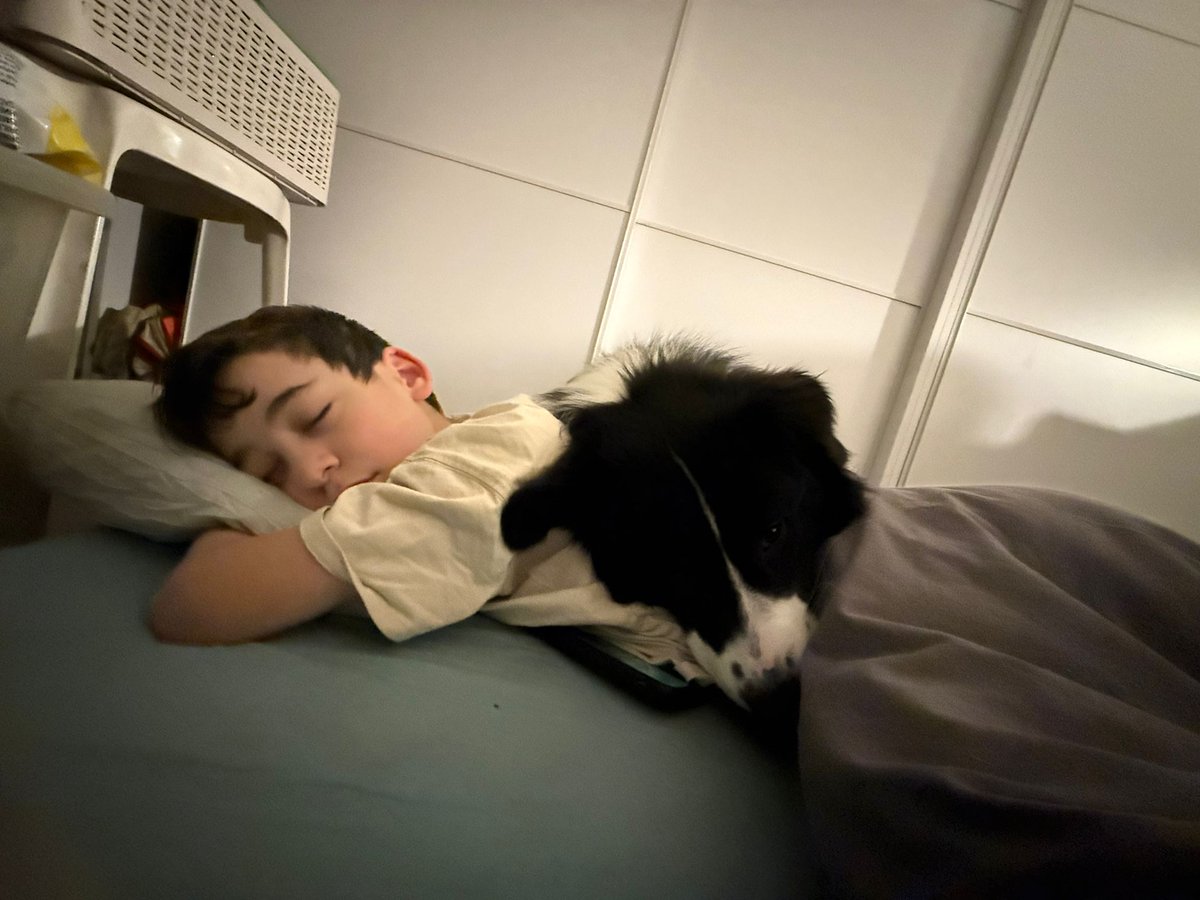 Limor Karlik לימור קרליק tweet media