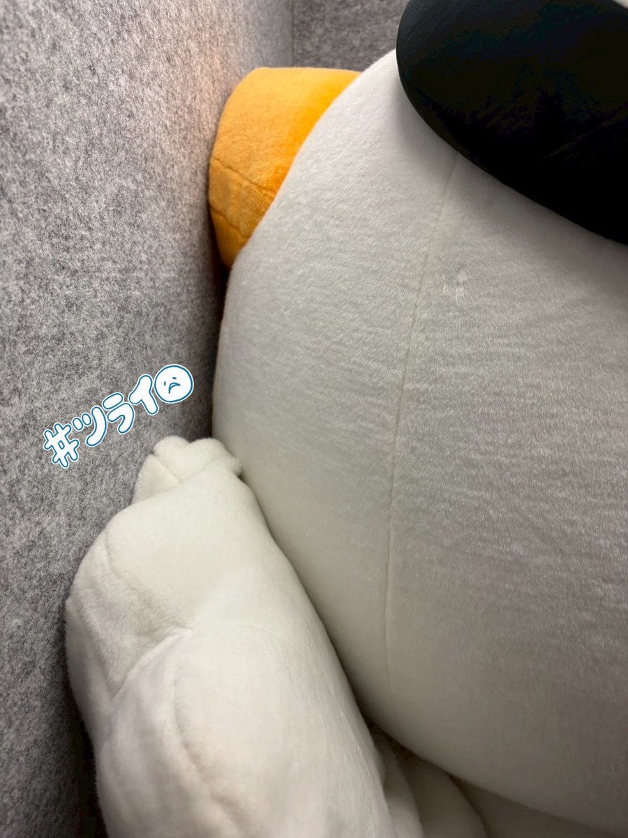 とまチョップ《公式》 tweet media