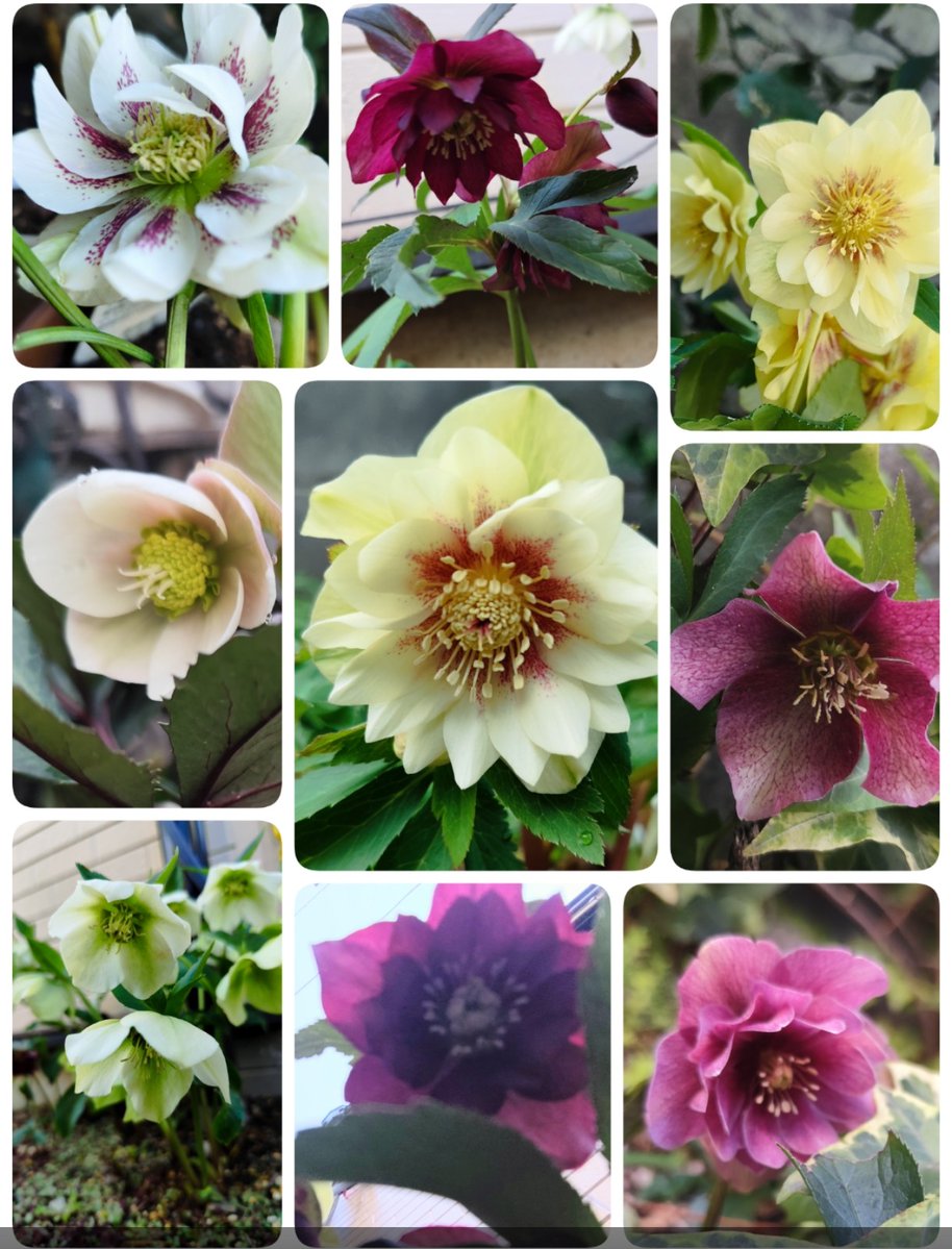 なおちゃん😊🦋 tweet media