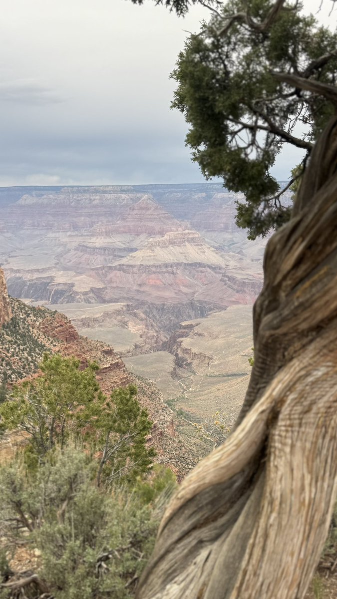 Oda Nobunaga's Fourth Reincarnation tweet media