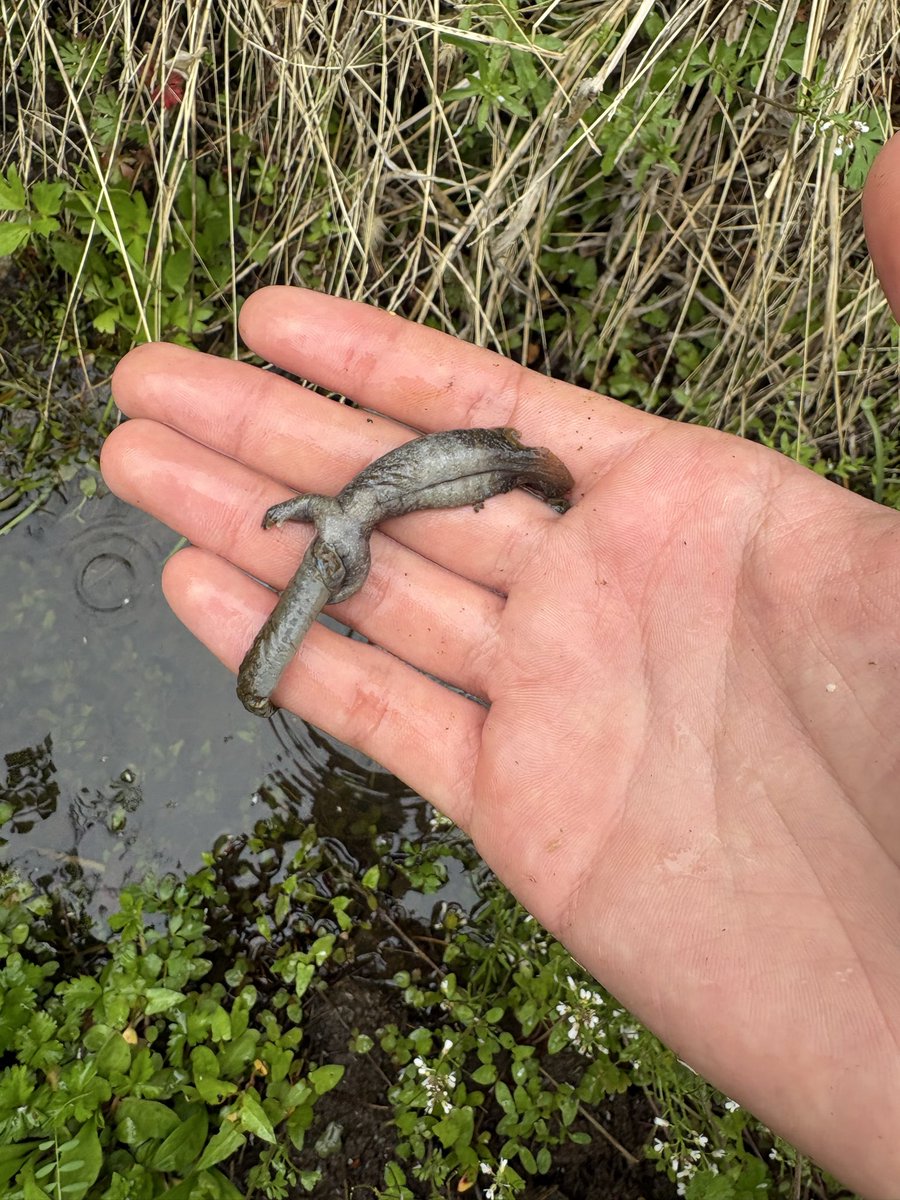 しんちゃん tweet media