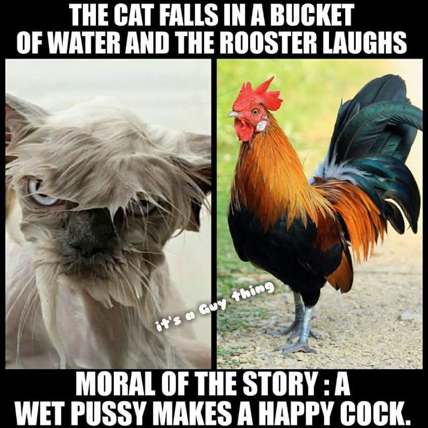 Maurice Remunj a.k.a. Beffalow Bill tweet media