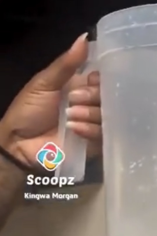 Salvatore Lucania ™️ tweet media