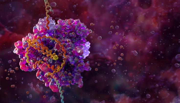 GacetaMedicaCom's tweet image. 🔬 #CRISPR permite crear inmunoterapia #CAR-T ‘in vivo’ mediante una simple inyección    

Una técnica de edición #genética con CRISPR permite reprogramar el sistema inmunitario directamente en el paciente

gacetamedica.com/investigacion/…