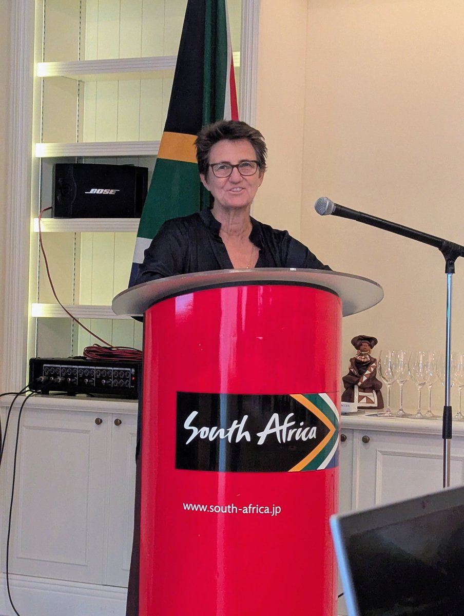 Mitamari tweet media