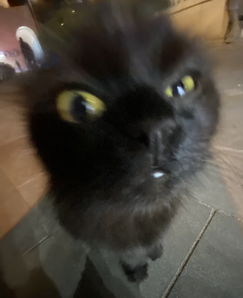 ashyyyyyyyyyyyyyyyyyyyyyyyyyyy tweet media