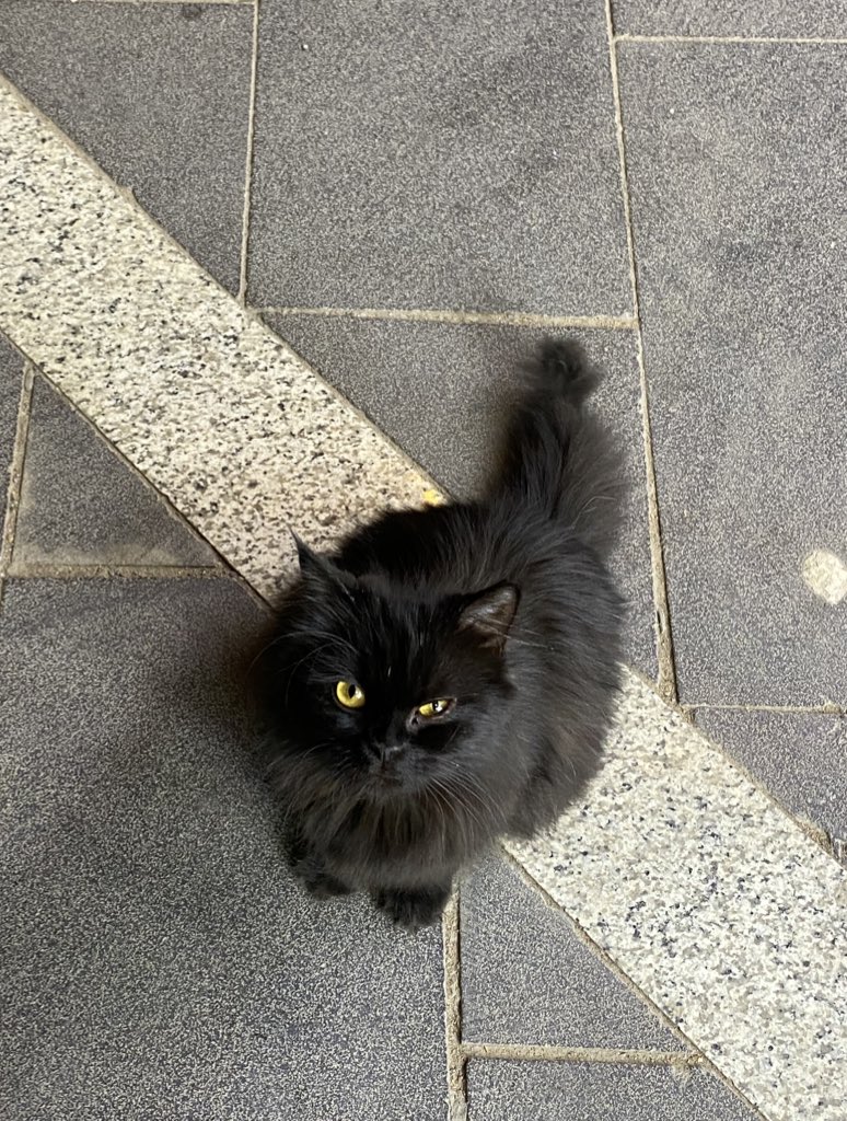 ashyyyyyyyyyyyyyyyyyyyyyyyyyyy tweet media