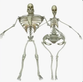 Burger Zoi tweet media