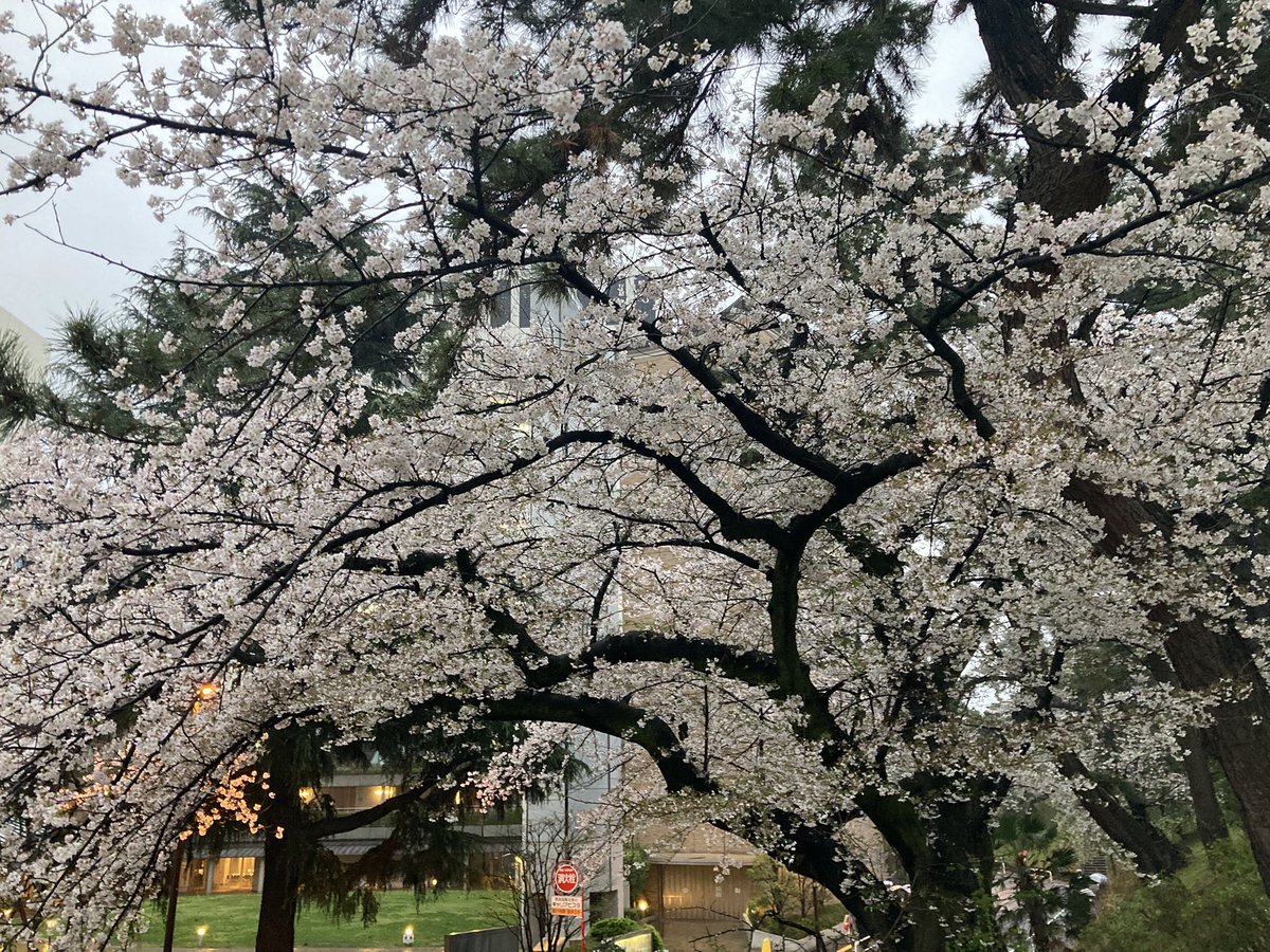 ma_kun.nakamura tweet media