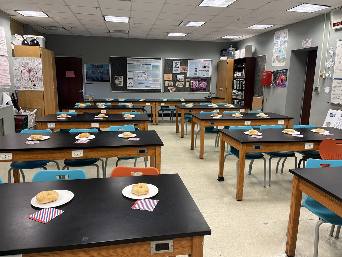 Shannon E. Kelly tweet media