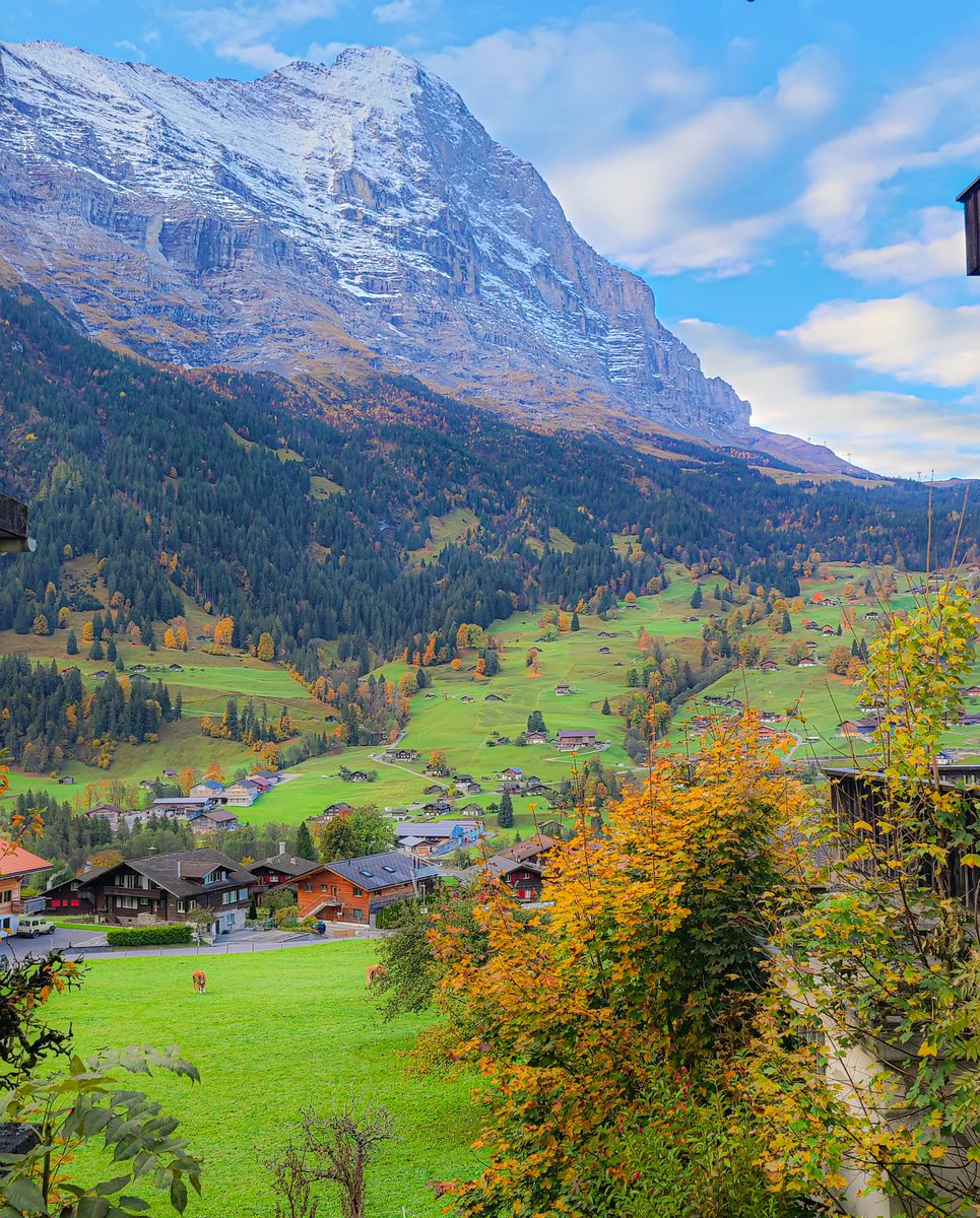 운만이 tweet media