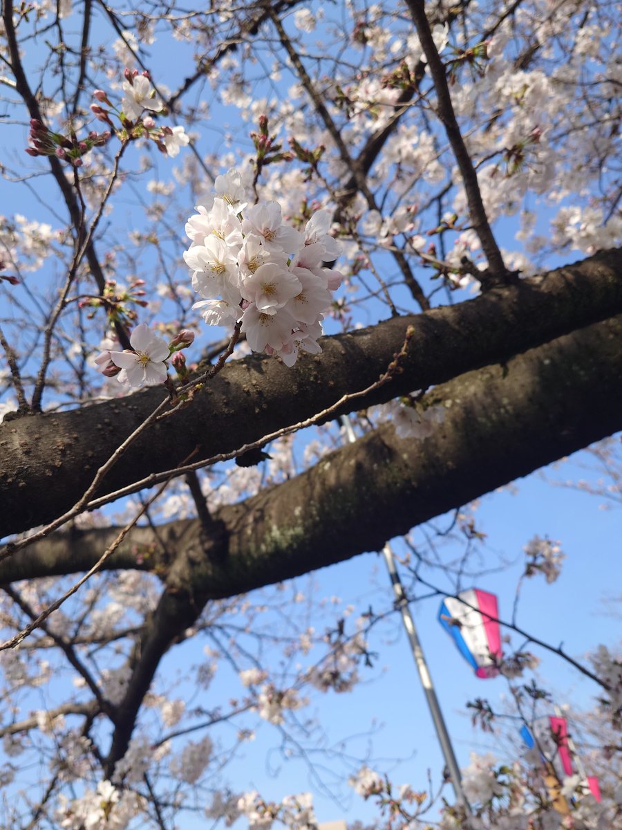 ゆいたろ tweet media