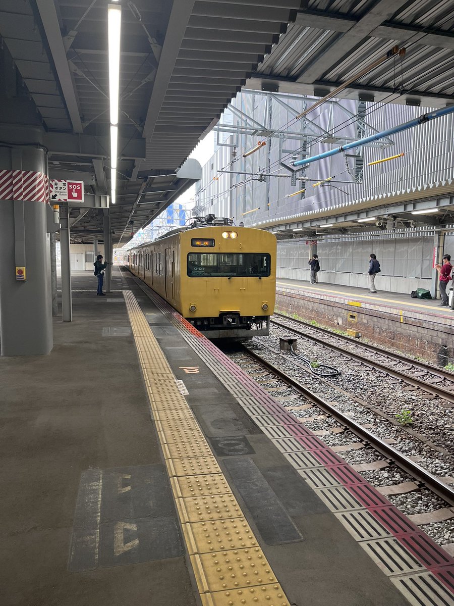 釈迦釈迦ポテト🍟【鯉党】 tweet media