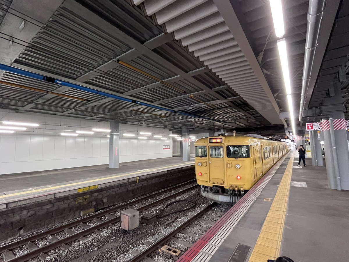 釈迦釈迦ポテト🍟【鯉党】 tweet media