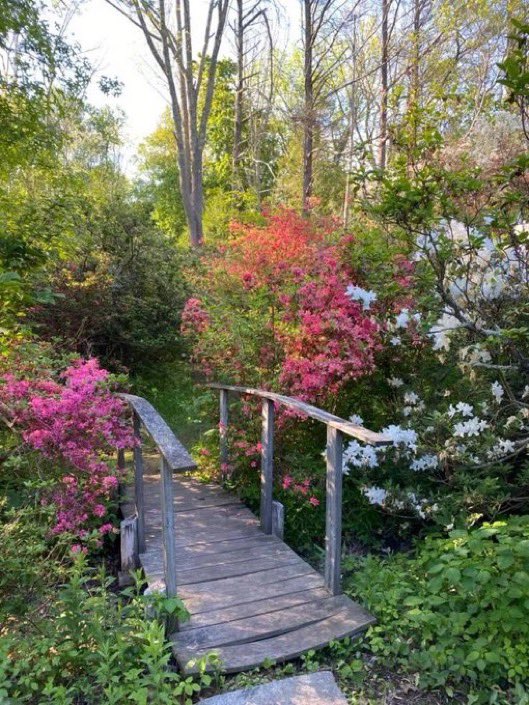 Girlstherapy222's tweet photo. Spring https://t.co/wV21h8loS8