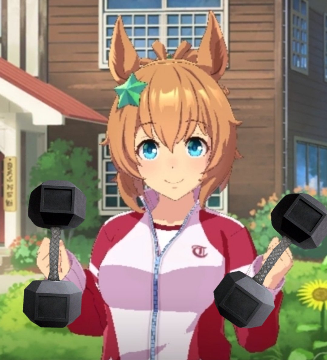 Taiki Shuttle tweet media